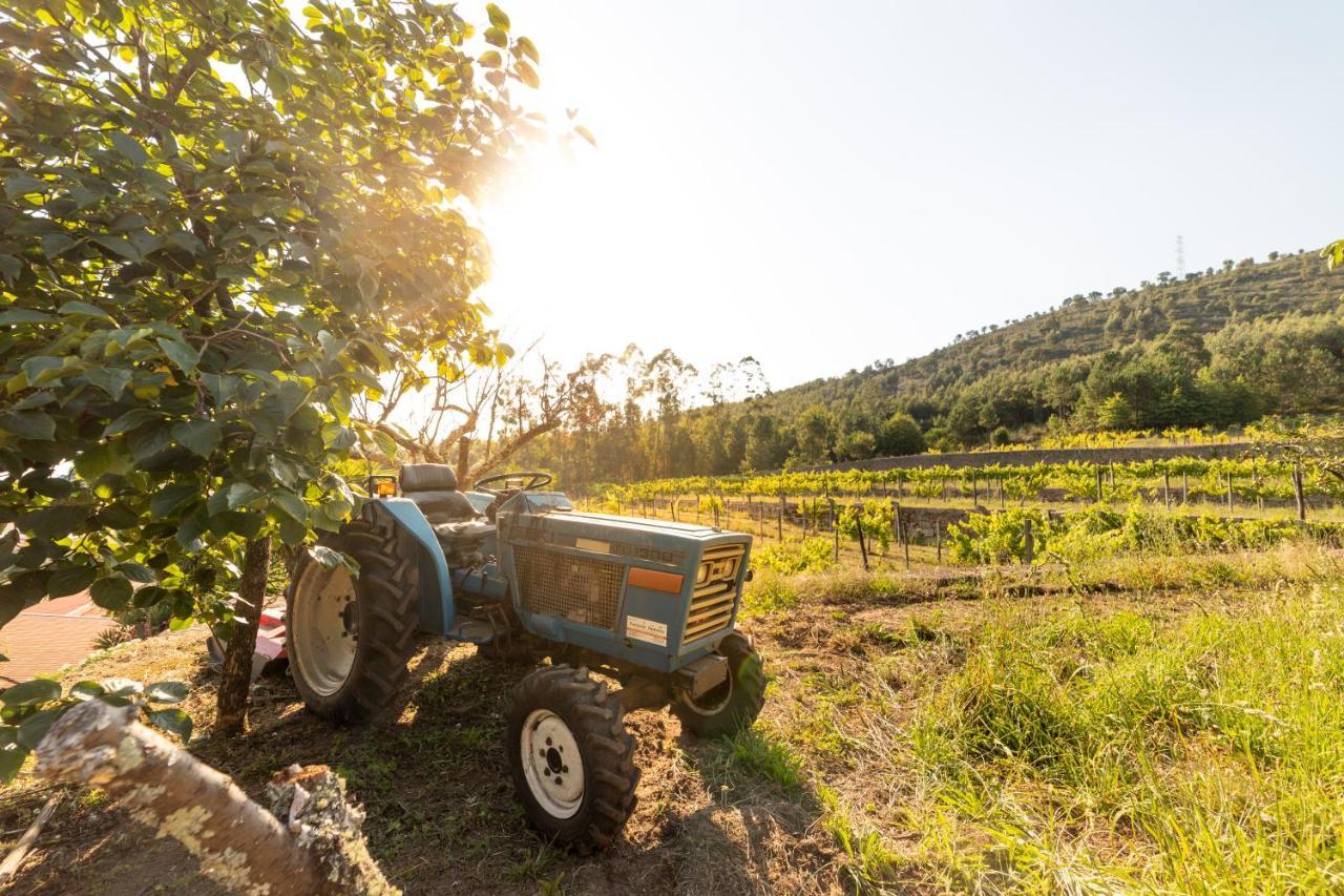Quinta Da Fonte - Agroturismo Barroselas Exteriör bild