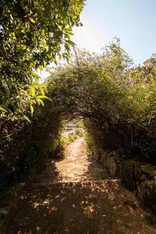 Quinta Da Fonte - Agroturismo Barroselas Exteriör bild