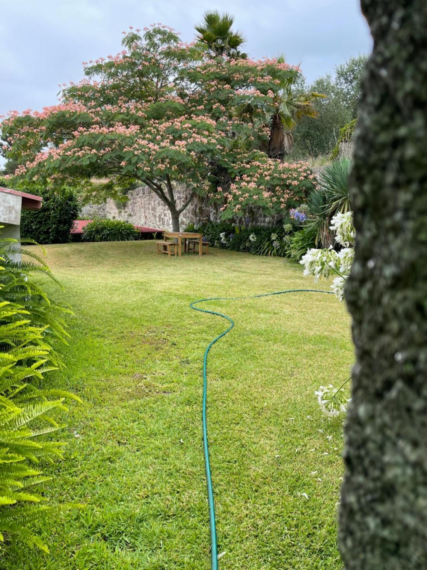 Quinta Da Fonte - Agroturismo Barroselas Exteriör bild