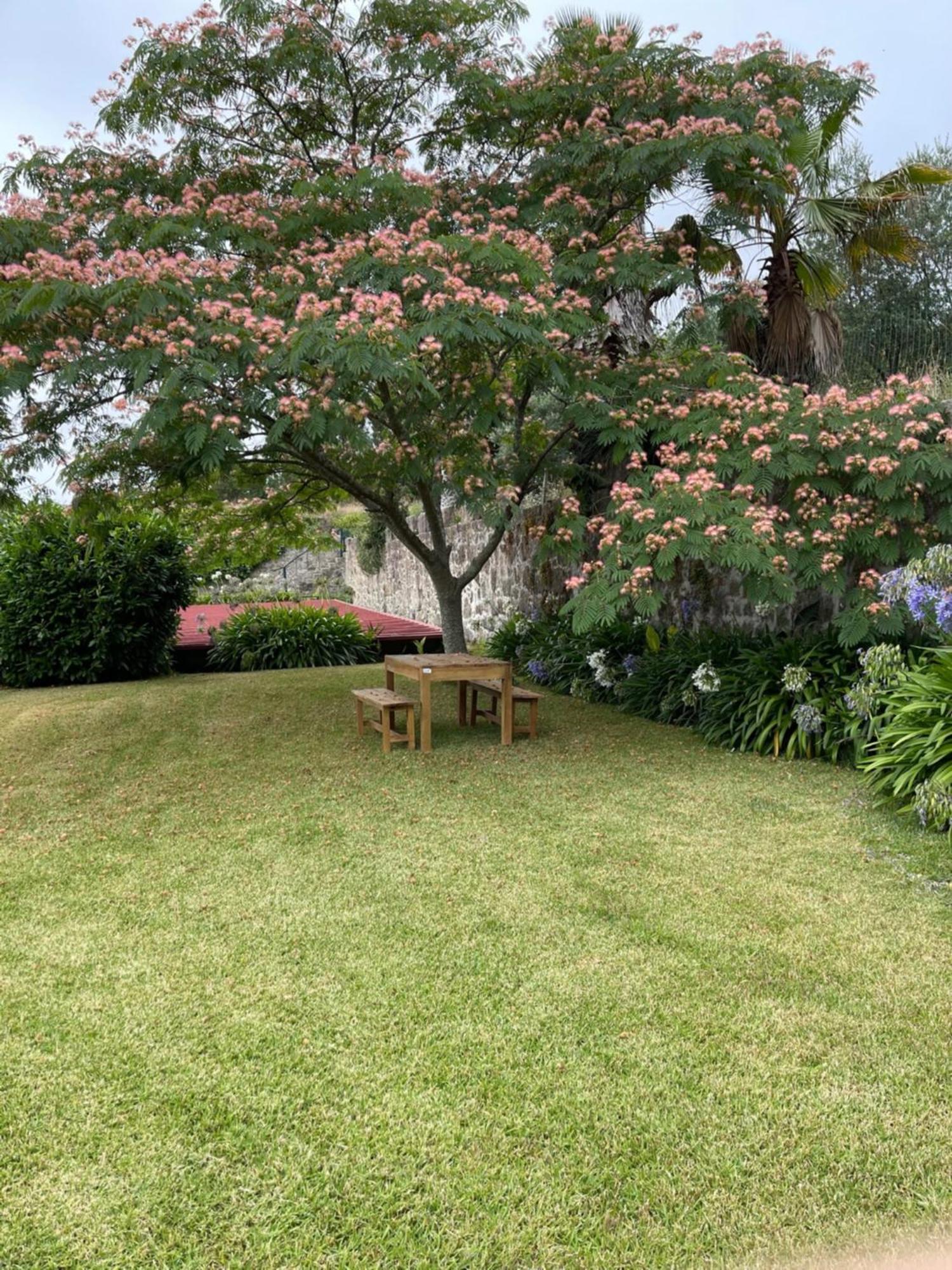 Quinta Da Fonte - Agroturismo Barroselas Rum bild